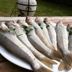 Fresh Sand Whiting